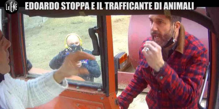 Scherzo Edoardo Stoppa a Le Iene: traffico illecito di animali con lo zampino di Juliana Moreira | Video Mediaset scherzo Edoardo Stoppa a Le Iene
