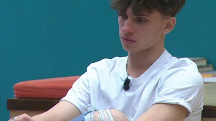 Amici 20, chi merita la finale Deddy escluso da tutti tranne uno Amici 20, chi merita la finale Deddy escluso da tutti tranne uno