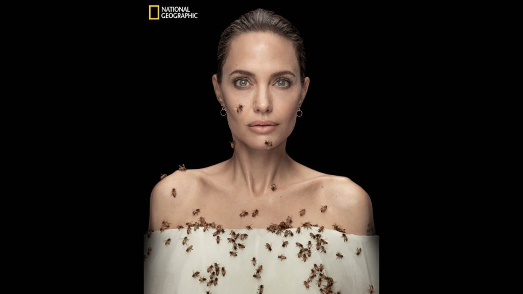Angelina Jolie api