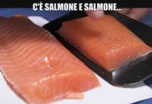 Le Iene, come riconoscere un salmone proveniente da un buon allevamento | Video Mediaset salmone a le iene