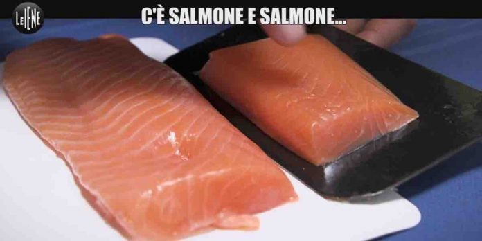 Le Iene, come riconoscere un salmone proveniente da un buon allevamento | Video Mediaset salmone a le iene