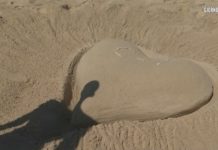 Isola dei Famosi 2021: Ignazio Moser e la scultura a forma di cuore per Cecilia Rodriguez | Video Mediaset Moser cuore per Cecilia