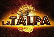 La Talpa – Who is the mole, il debutto è un successo su Canale 5: boom di contatti sui social e su Mediaset Infinity La talpa