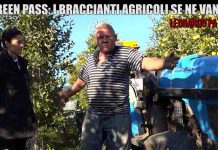 Le Iene, il green pass come ha cambiato il lavoro stagionale? | Video Mediaset green pass lavoro braccianti