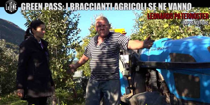Le Iene, il green pass come ha cambiato il lavoro stagionale? | Video Mediaset green pass lavoro braccianti