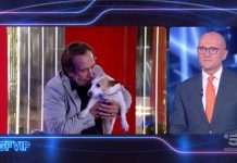 GF Vip, Giucas Casella incontra la sua cagnolina Nina e scoppia in lacrime per la felicità | Video Mediaset Giucas Casella incontra Nina, la cagnolina