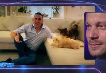 GF Vip, sorpresa a Davide Silvestri, il videomessaggio dell’amato cugino Kekko | Video Mediaset Sorpresa davide