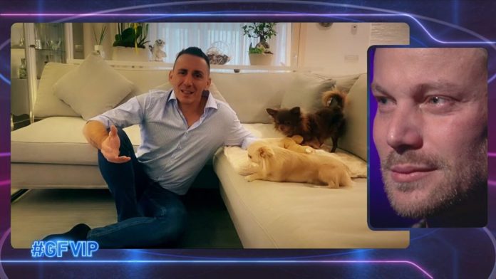 GF Vip, sorpresa a Davide Silvestri, il videomessaggio dell’amato cugino Kekko | Video Mediaset Sorpresa davide