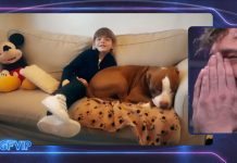 GF Vip, Alessandro Basciano in lacrime per il videomessaggio di suo figlio | Video Mediaset Alessandro e il figlio