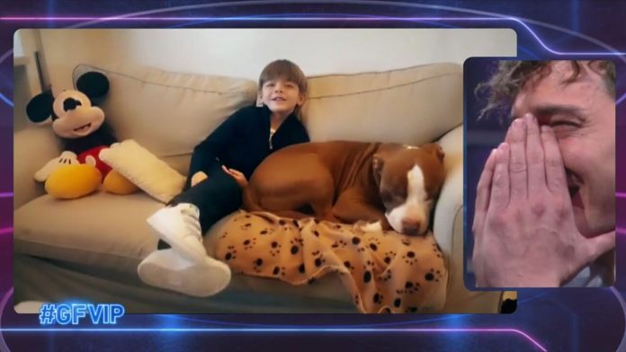 GF Vip, Alessandro Basciano in lacrime per il videomessaggio di suo figlio | Video Mediaset Alessandro e il figlio