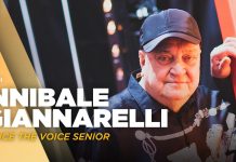The Voice Senior 2022: il vincitore è Annibale Giannarelli del Team Gigi D’Alessio Vincitore The Voice Senior
