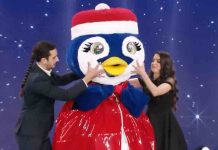 Il Cantante Mascherato, Pinguino si ritira: sotto la maschera c’è Edoardo Vianello Pinguino de Il cantante mascherato 2022