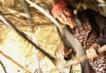 Isola dei Famosi 2022: Carmen Di Pietro abbatte la capanna di Alessandro e Maria Laura | Video Mediaset Isola dei Famosi 2022 Carmen Di Pietro