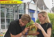 Tapiro d’oro a Ilary Blasi: la consegna a Striscia La Notizia per le gaffe a L’Isola dei Famosi | Video Mediaset Ilary Blasi tapiro a Striscia la Notizia