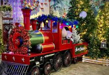 “Il Regno di Babbo Natale”: a Vetralla torna l’atmosfera natalizia come quella dei film. Date e novità Regno di Babbo Natale