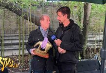 Tapiro d’Oro a Memo Remigi per le molestie a Jessica Morlacchi. La consegna a “Striscia la Notizia” | Video Mediaset Memo Remigi Tapiro d'Oro Striscia la Notizia