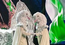 Il Cantante Mascherato 2023, Colombi eliminati. Smascherato anche Rosa: chi si nascondeva sotto la maschera?