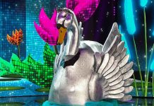 Il Cantante Mascherato 2023, Cigno eliminato: chi si nascondeva sotto la maschera? Il cantante Mascherato 2023 Cigno