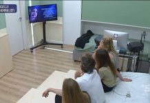 Amici 22, ragazzi isolati in casetta? Il day time del 3 maggio 2023 | Video Witty Tv Amici 22