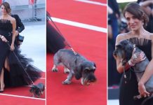 Orsa Amarena, Caterina Murino a Venezia con il bassotto Sole: “Per tutti gli animali uccisi dalla mano dell’uomo” Orsa Amarena Caternia Murinno a Venezia bassotto Sole