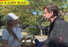 Tapiro d’oro a Ilary Blasi, la consegna a Striscia La Notizia | Video Mediaset tapiro ilary blasi