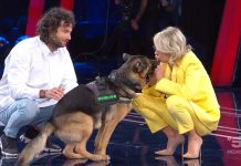 Tu si que vales 2023: ecco la storia di Marley, cane cieco e la rezione di Maria | Video Witty Tv Tu si que vales 2023