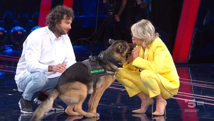 Tu si que vales 2023: ecco la storia di Marley, cane cieco e la rezione di Maria | Video Witty Tv Tu si que vales 2023