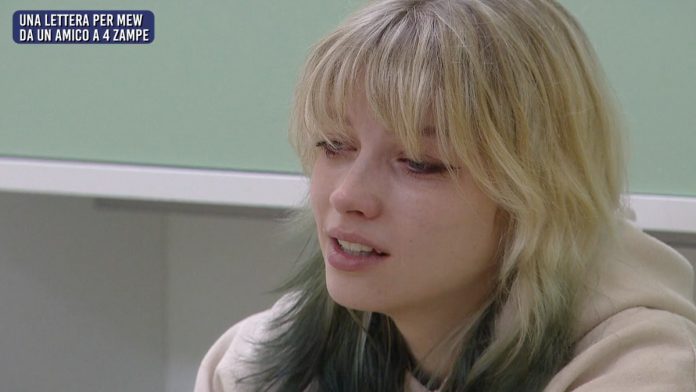 Amici 23, Mew riceve una toccante lettera dal suo cane Balù: a leggerla è Maria De Filippi | Video Witty TV La lettera del cane a Mew