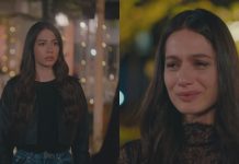 My Home My Destiny, replica puntata in streaming del 31 gennaio 2024 – Video Mediaset My Home my Destiny