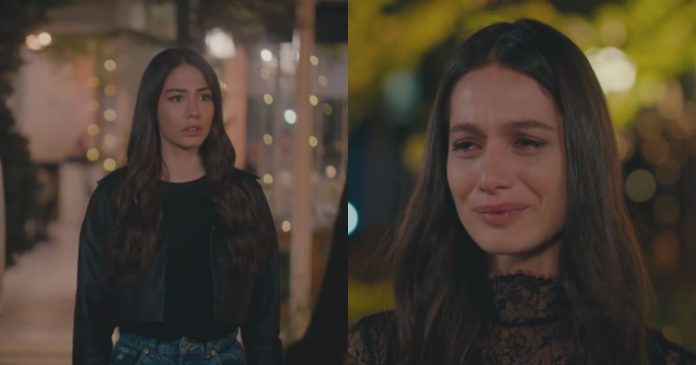 My Home My Destiny, replica puntata in streaming del 25 gennaio 2024 – Video Mediaset My Home my Destiny