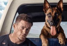 Ascolti tv ieri, mercoledì 4 settembre 2024: Simon Coleman (15.9%), Io e Lulù (15%) | Dati Auditel Io e Lulù film