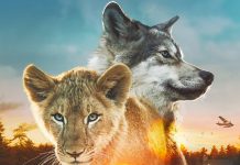 Il lupo e il leone, la recensione dell’avventura ambientalista Il lupo e il leone