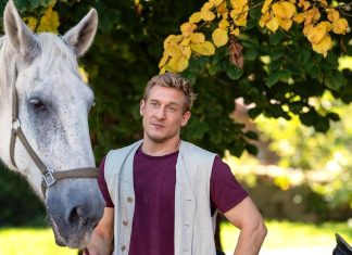 Tempesta d’amore, anticipazioni tedesche: Vincent in pericolo Tempesta d'amore