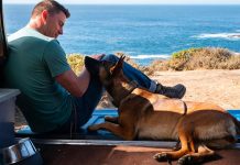 Io e Lulù: un road-movie su due piedi e quattro zampe – Recensione io e lulu