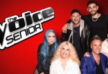 Ascolti tv 21 novembre 2025: The Voice Senior (21.8%), Tradimento (15.4%), Affari Tuoi (17.1%), La Ruota della Fortuna (29.1%) | Dati Auditel The Voice Senior 2025