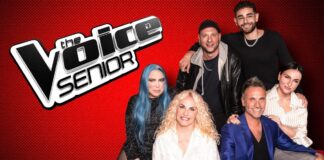 Chi ha vinto The Voice Senior 2025: il vincitore è Francesco De Siena del team di Nek The Voice Senior 2025