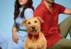 Merv: un amore in crisi e un cane depresso in una prevedibile rom-com – Recensione Merv
