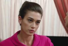 Il Paradiso delle signore, trame puntate dal 15 al 19 dicembre: Mario chiede la mano di Caterina