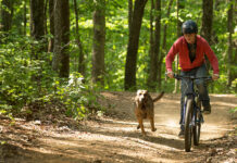 Max: un dog-movie tra patriottismo e racconto di formazione – Recensione max