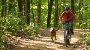 Max: un dog-movie tra patriottismo e racconto di formazione - Recensione