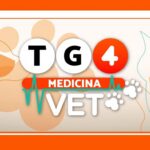 Su Retequattro debutta “TG4 Medicina VET”: la nuova rubrica veterinaria con Elisa Triani TG4 Medicina VET
