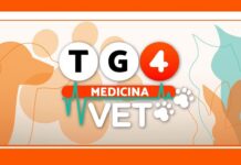 Su Retequattro debutta “TG4 Medicina VET”: la nuova rubrica veterinaria con Elisa Triani TG4 Medicina VET