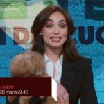 ‘Pets – Animali del cuore’ con Lorella Boccia: quando in tv lorella boccia conduce pets animali del cuore