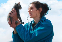 Sorry, Baby: un film sincero e delicato sull’elaborazione del trauma – Recensione Sorry, Baby