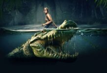 The Bayou: coccodrilli e anfetamine e l’horror trash è servito – Recensione The Bayou