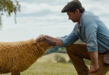 Pecore sotto copertura, animali detective in un giallo ricco di sorprese – Recensione Pecore sotto copertura