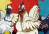 Rooster Fighter: un gallo combatte le forze del male nella folle serie anime – Recensione Rooster Fighter