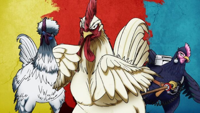 Rooster Fighter