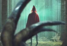Kryptic: un horror femminista che si perde nel bosco – Recensione Kryptic