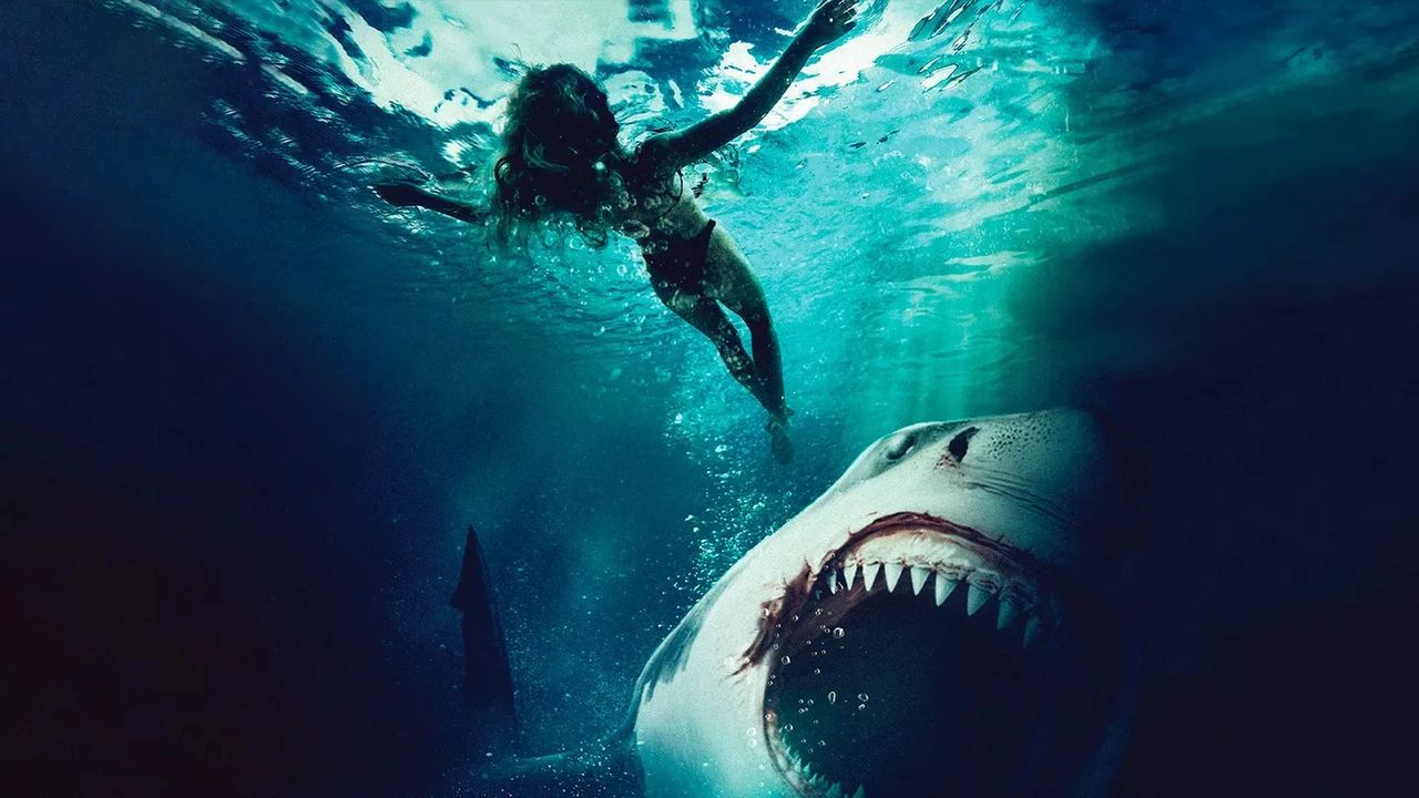 maneater un gigantesco squalo killer in un mediocre shark movie 8211 recensione da Superguidatv.it maneater un gigantesco squalo killer in un mediocre shark movie 8211 recensione